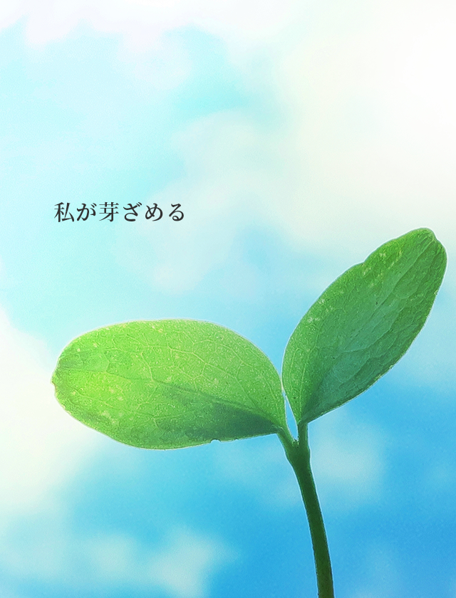私が芽ざめる