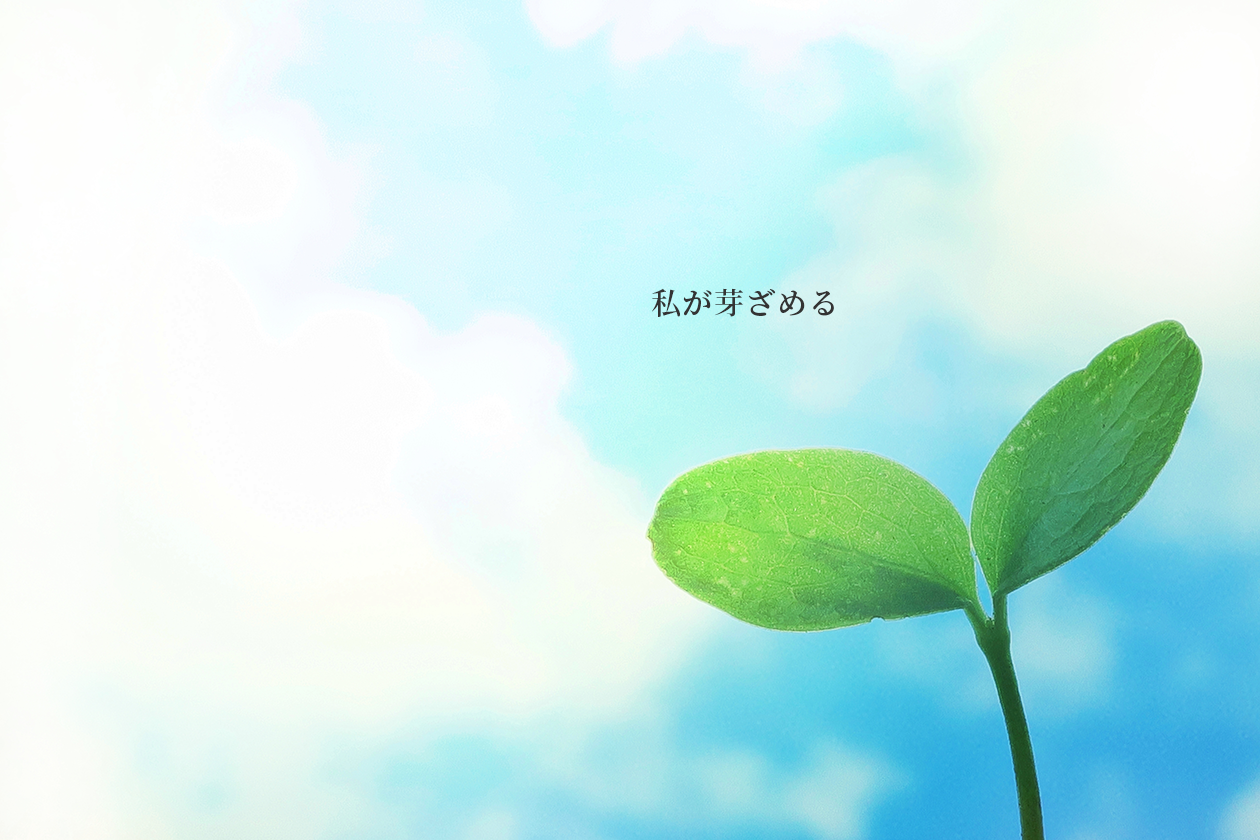 私が芽ざめる